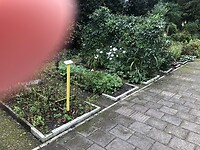 IMG_9068