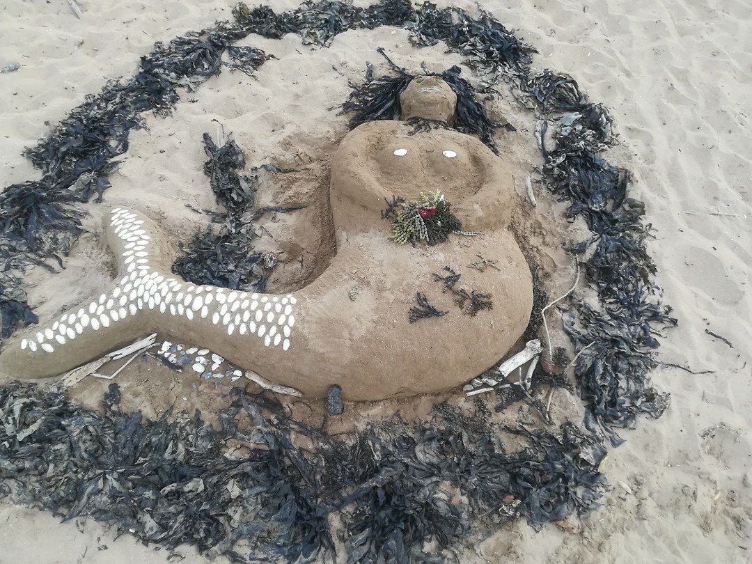 IMG_20190113_191835_1