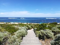 IMG_20190225_103130