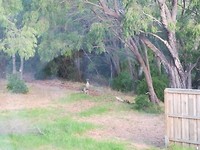 IMG_20190224_190041