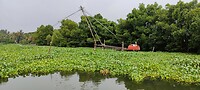 IMG20231119141012