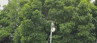 IMG20231119151714