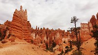 Bryce Canyon Navajo/ Queensgarden trail