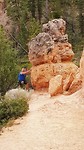 Bryce Canyon Navajo/ Queensgarden trail