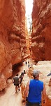 Bryce Canyon Navajo/ Queensgarden trail