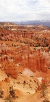 Bryce Canyon Navajo/ Queensgarden trail