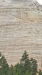 Zion Checkered Mesa