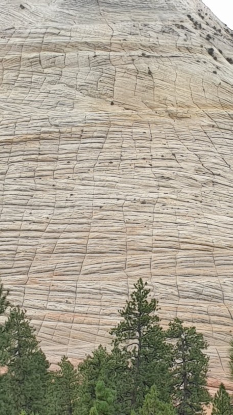 Zion Checkered Mesa