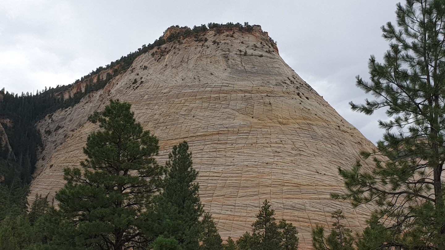 Zion Checkered Mesa