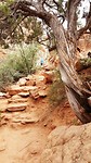 Zion Canyon Overlook trail