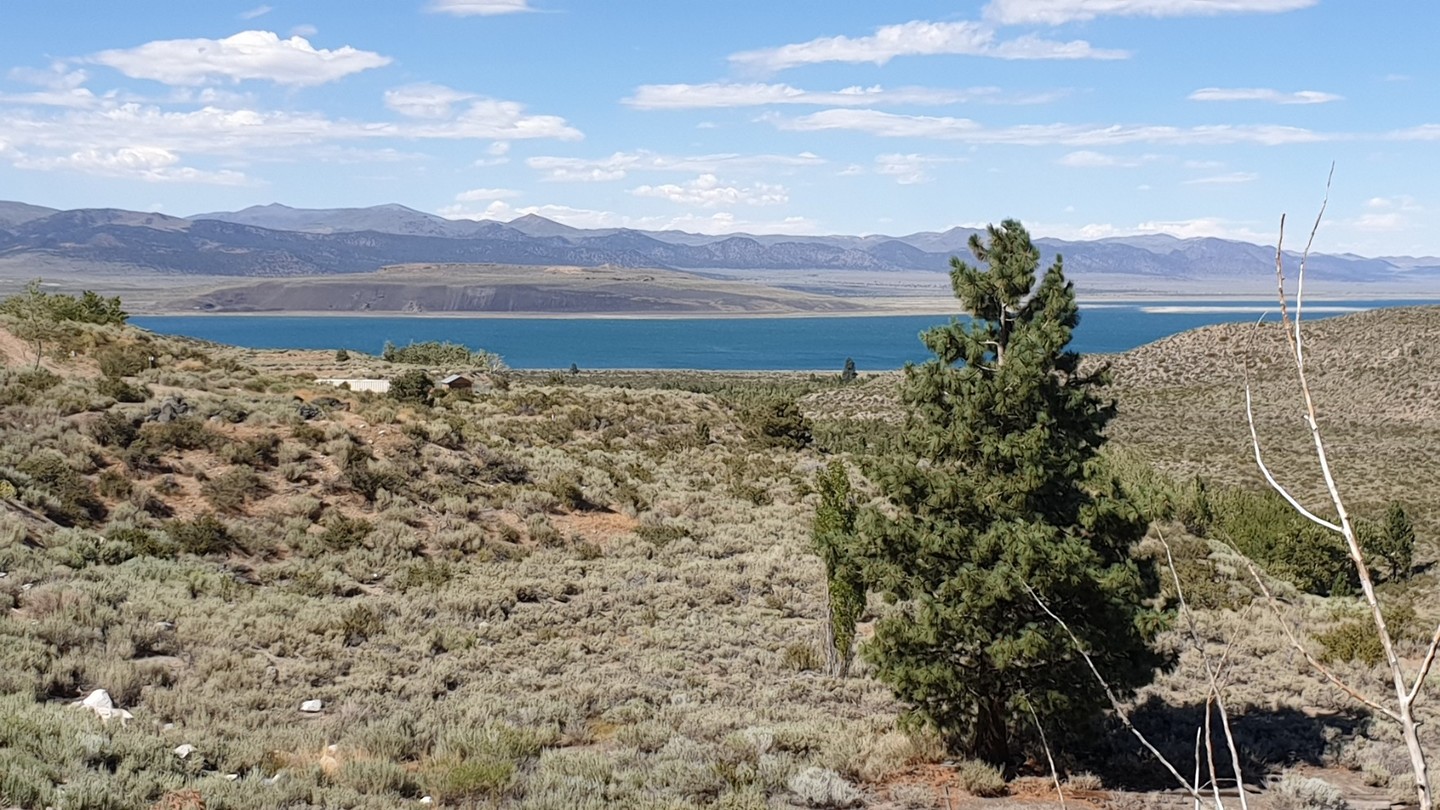 Mono Lake