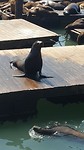20190810_152724