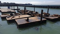 20190810_152715