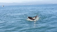 20190812_104520(0)