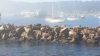 20190812_091339