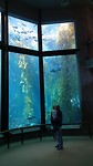 20190812_172443