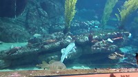 20190812_171238