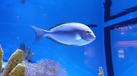 20190812_165025