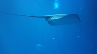 20190812_153419