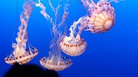 20190812_152030