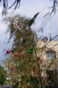 DSC09607