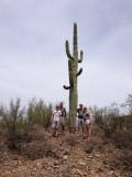 Cactus Arizona