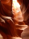 antelope 6