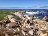 Pebble Beach