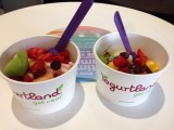 Frozen Yoghurt