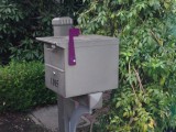 Star Tours - mailbox David and Victoria Beckham
