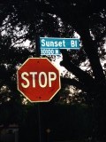 Stop @Sunset blvd