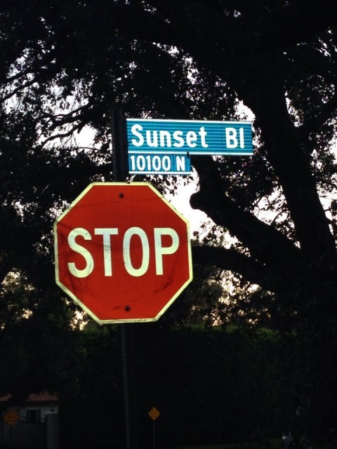 Stop @Sunset blvd