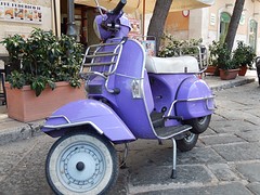 Paarse vespa