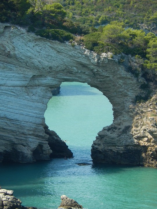 Arche