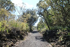 Wandelen 295 meter omhoog