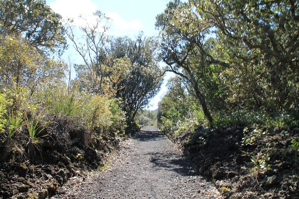 Wandelen 295 meter omhoog