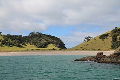 Bay of Islands