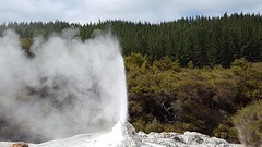 Geizer Waiotapu