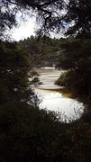Waiotapu