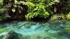 Blue Springs