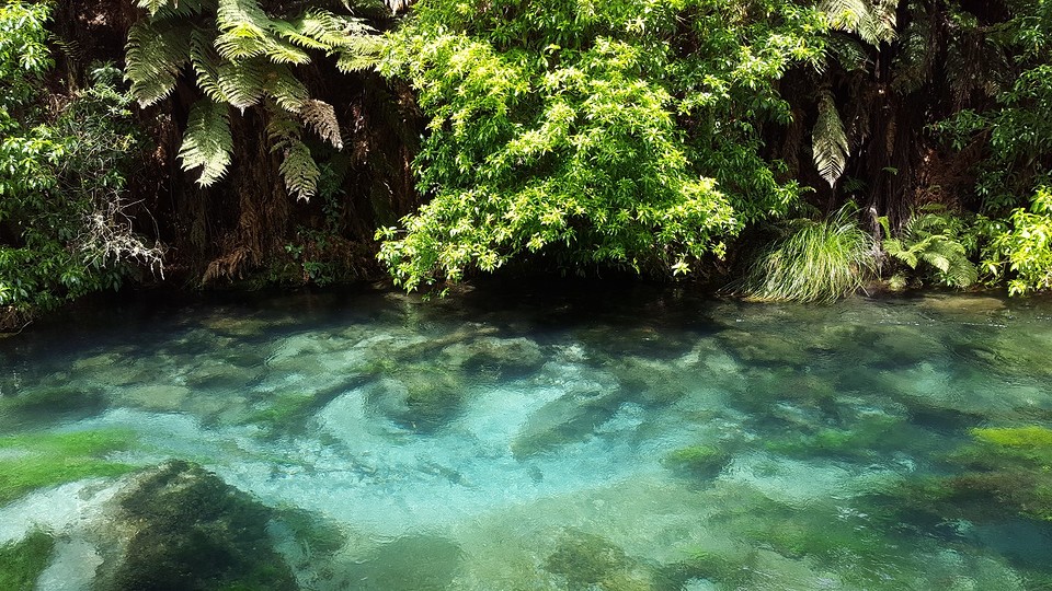 Blue Springs