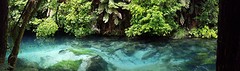 Blue Springs