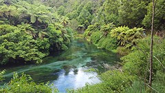 Blue Springs