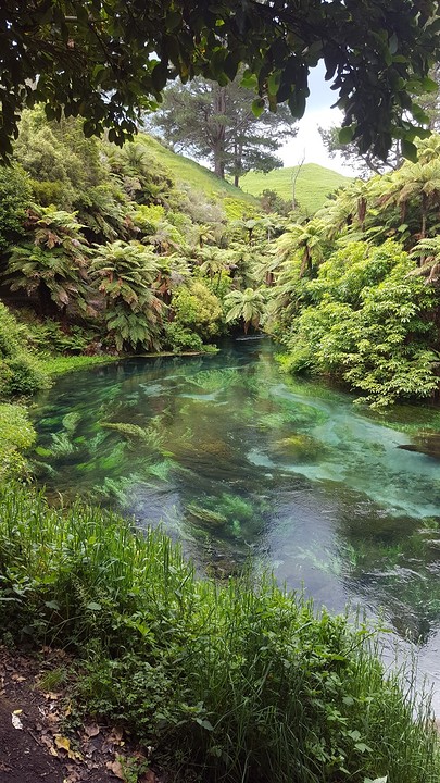Blue Springs
