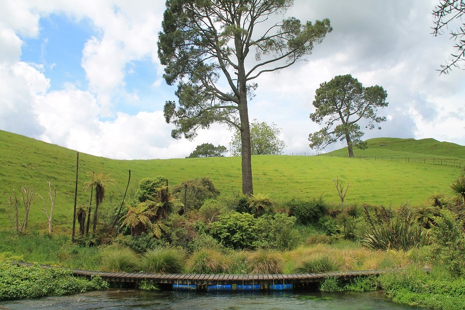 Blue Springs
