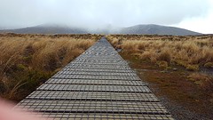 Whakapapa Village walking tracks