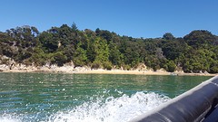 Op de boot bij Abel tasman