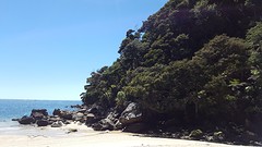 Abel tasman