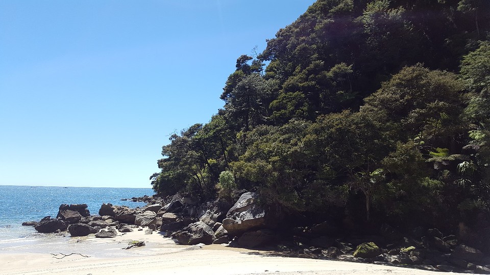 Abel tasman