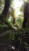 Abel tasman